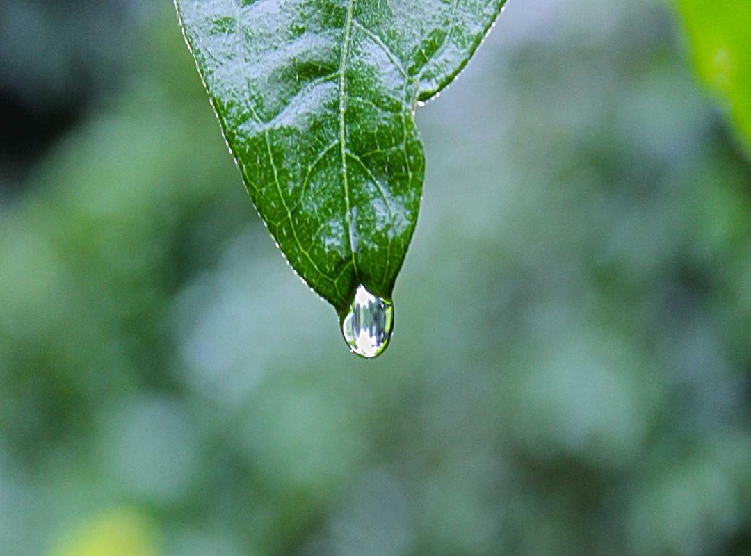 The DIY Route: Building Your Own Bottle From Scratch