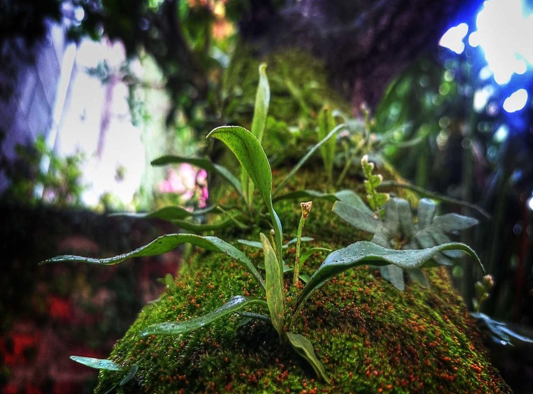 Seeing with the Heart: What Is Essential Is Invisible