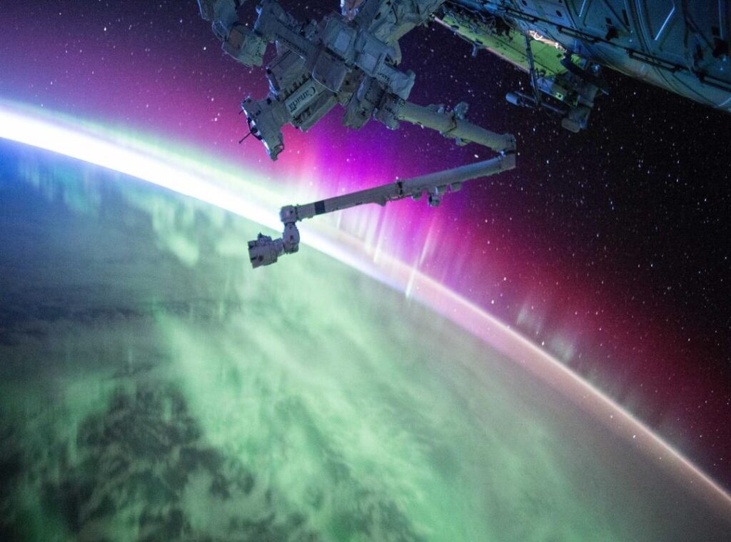 andreea bostanica nud