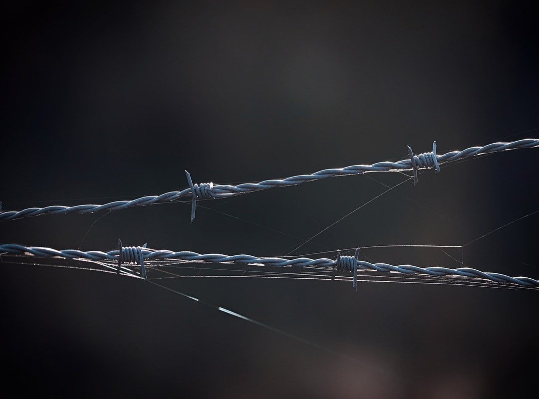 Proactive Steps to Safeguard Your Digital Identity