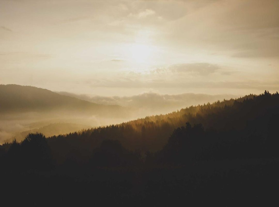 Entrepreneur and Advocate: The Business of Being Millie