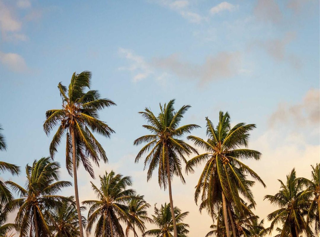 For Your Eyes Only: Empowerment vs. Public Perception